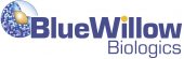 BlueWillow Logo